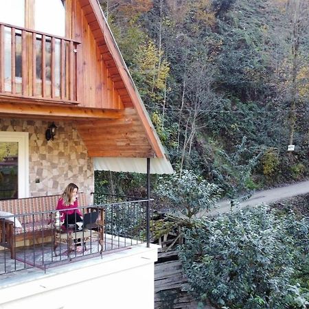 Willa Naturel Apart Bungalow Çamlıhemşin Zewnętrze zdjęcie