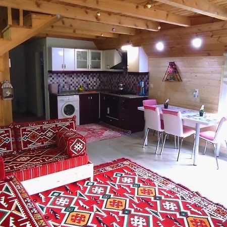 Willa Naturel Apart Bungalow Çamlıhemşin Zewnętrze zdjęcie