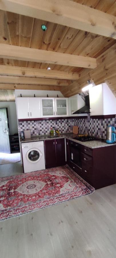 Willa Naturel Apart Bungalow Çamlıhemşin Zewnętrze zdjęcie