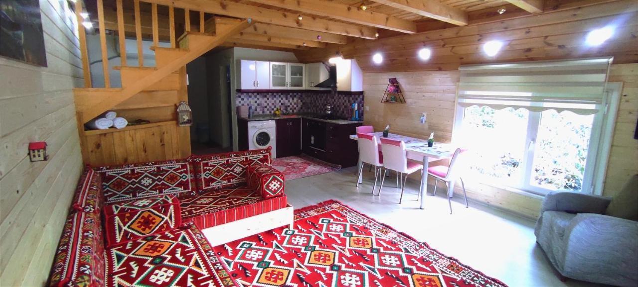 Willa Naturel Apart Bungalow Çamlıhemşin Zewnętrze zdjęcie